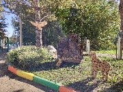 IMG_20220916_104350.jpg