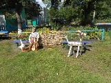 dou272-4.jpg