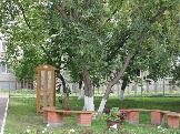image10