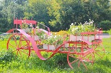 image11