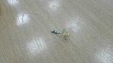 IMG_20190316_142303.jpg