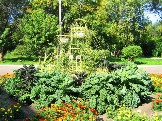 image14