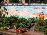 dou102-6.jpg