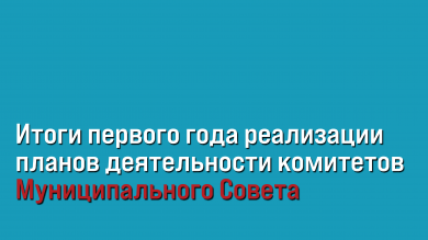 Подводим итоги первого года реализации планов деятельности комитетов  Муниципального Совета