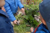 18-Мини-чудо о заповеднике Столбы