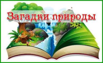 Состоялся семинар для группы школ, реализующих курс "Загадки природы"
