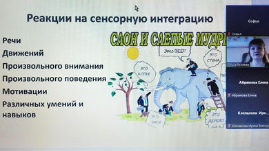Вебинар «Сенсорная интеграция в работе с детьми с ТМНР: анализ кейсов»