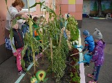 9-Огород