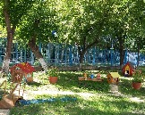 dou33-8