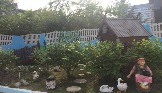 11-Гуси-лебеди