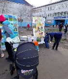 image11