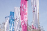 IMG_8846.jpg