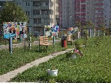 sc137-1.jpg