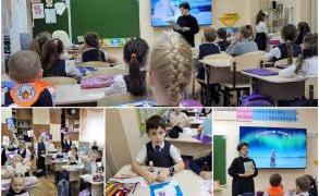 Международный день полярного медведя в  школьной библиотеке