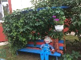 6-Цветик-семицветик