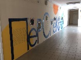 lic6-5