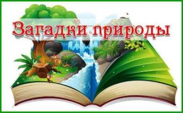 «Реализация учебного курса естественнонаучной направленности «Загадки природы» в практике»