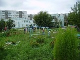 dou54-3