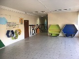 lic6-9