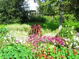 image13