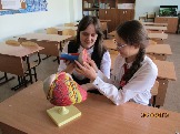 lic1-2
