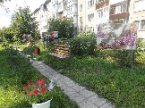 sc137-2.jpg