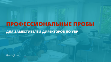 Профессиональные пробы для заместителей директоров по УВР