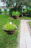 image10