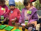 45-Тропинка в лес зовет!