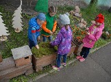 3-Лесная