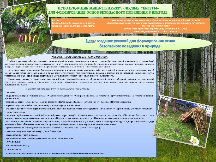 МБДОУ 34, Использование мини-тренажера «Лесные секреты» для формирования основ безопасного поведения в природе.