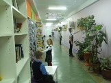 image12