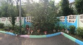 9-Лесные сказки