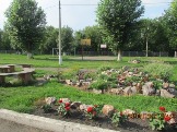 image8